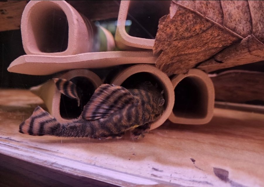 1000057494.jpg 1000057494.jpg