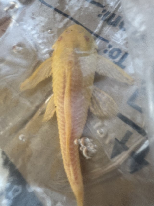 IMG_2653.jpeg IMG_2653.jpeg