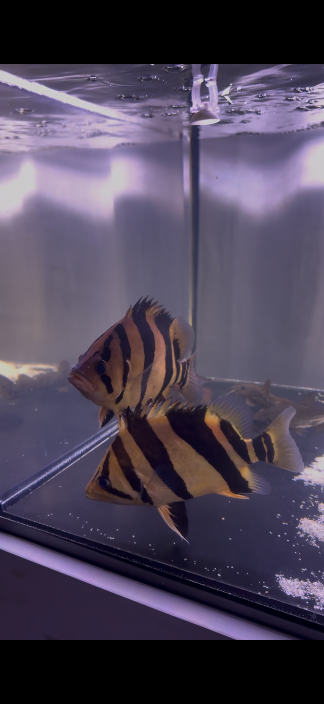 IMG_4673.png IMG_4673.png