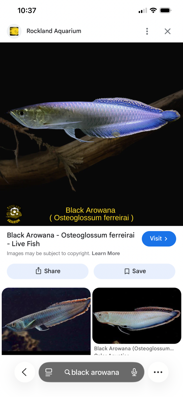 IMG_0205.png IMG_0205.png