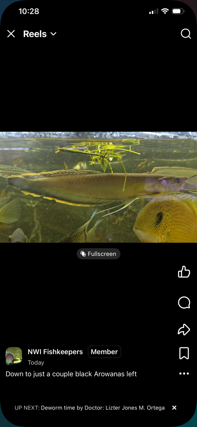 IMG_0167.png IMG_0167.png