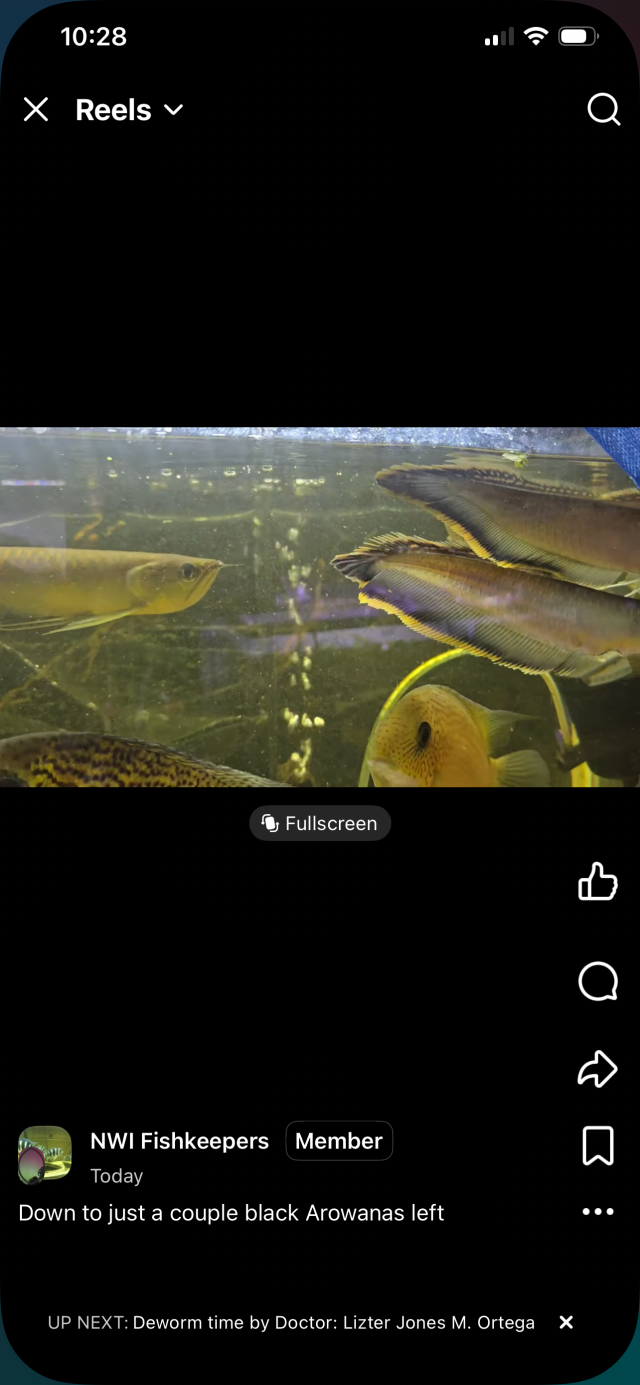 IMG_0164.png IMG_0164.png