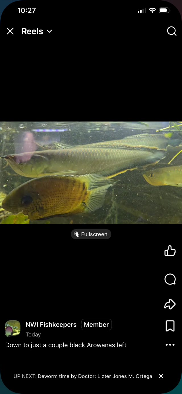 IMG_0163.png IMG_0163.png