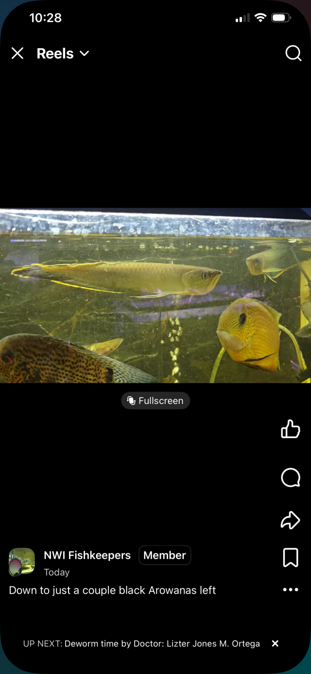 IMG_0165.png IMG_0165.png