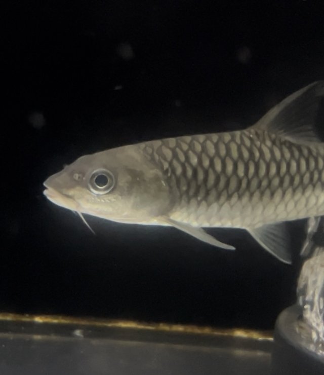 IMG_7227.jpeg IMG_7227.jpeg