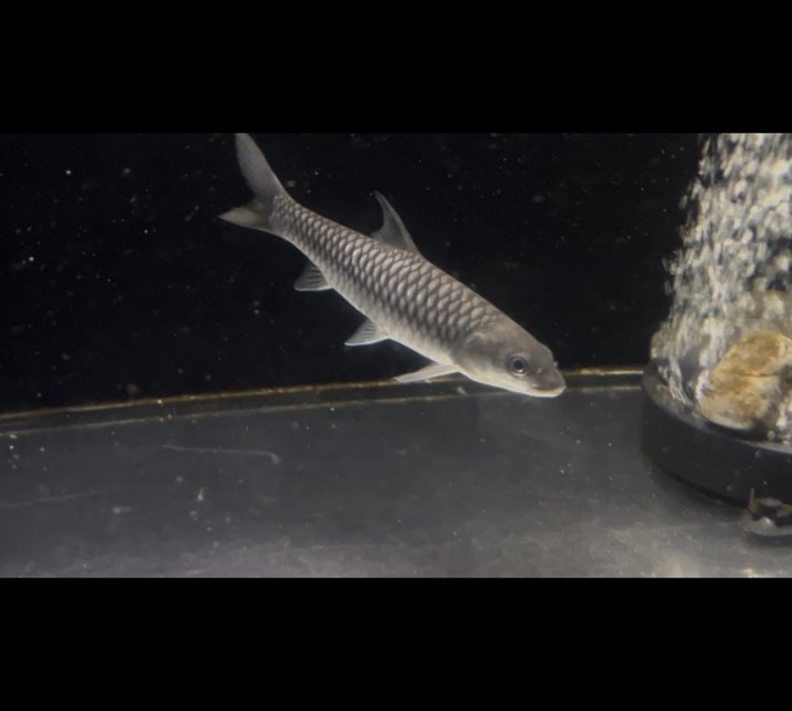 IMG_7236.jpeg IMG_7236.jpeg