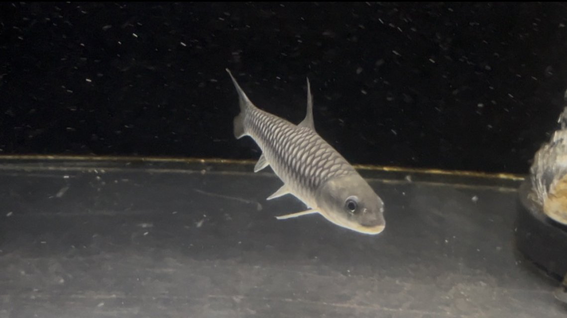 IMG_7228.jpeg IMG_7228.jpeg