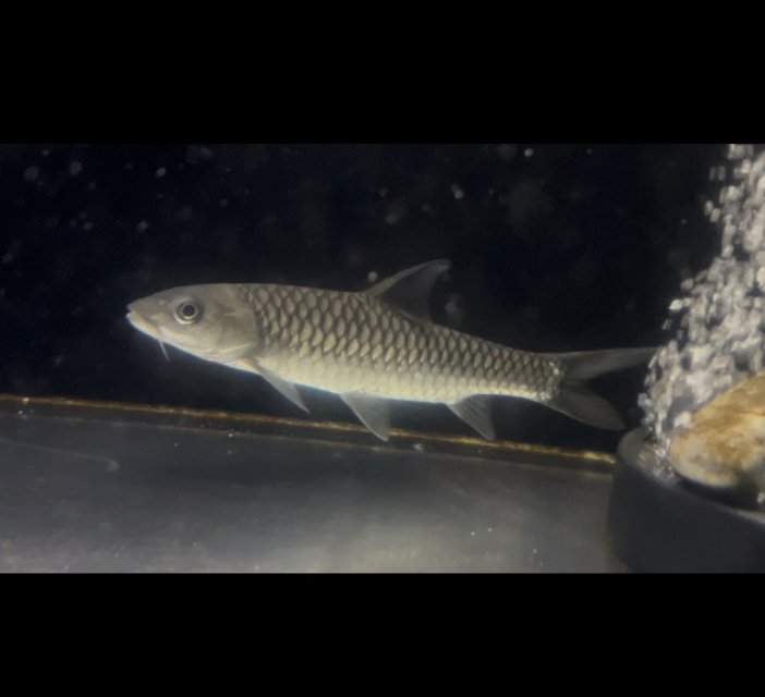 IMG_7229.jpeg IMG_7229.jpeg