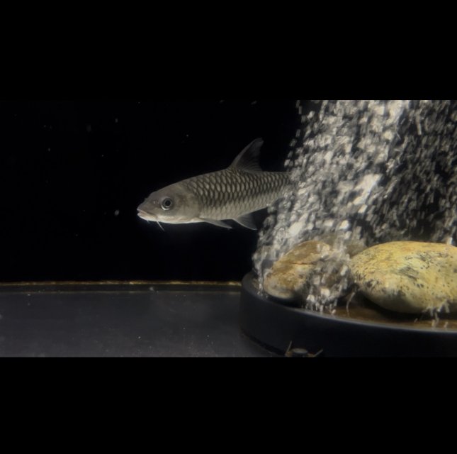 IMG_7230.jpeg IMG_7230.jpeg