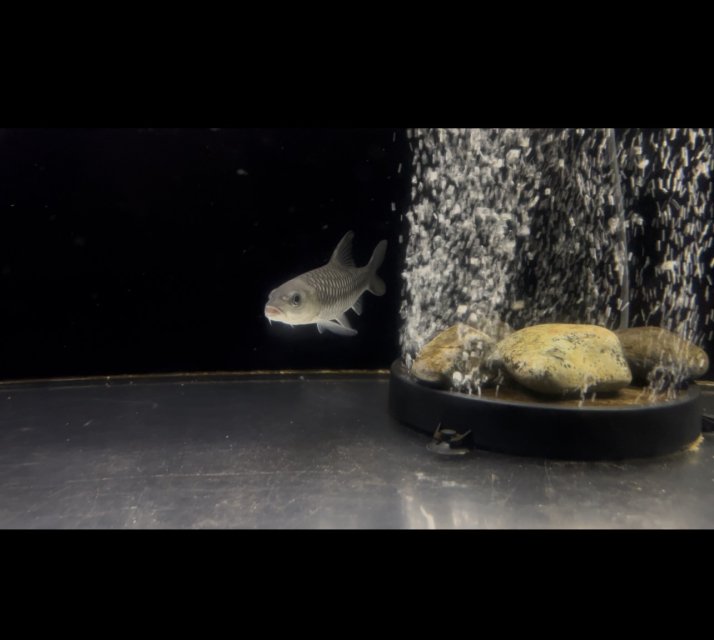 IMG_7231.jpeg IMG_7231.jpeg