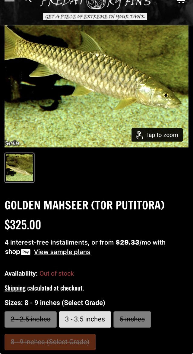 IMG_7237.jpeg IMG_7237.jpeg