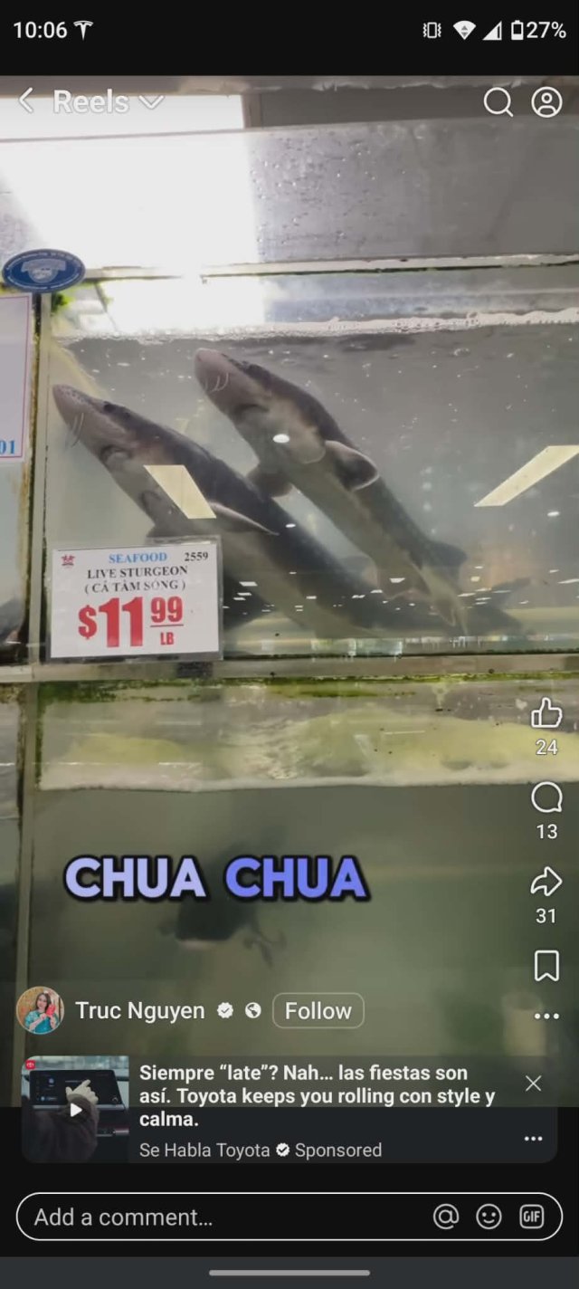 Q0P83NI_.jpg Q0P83NI_.jpg