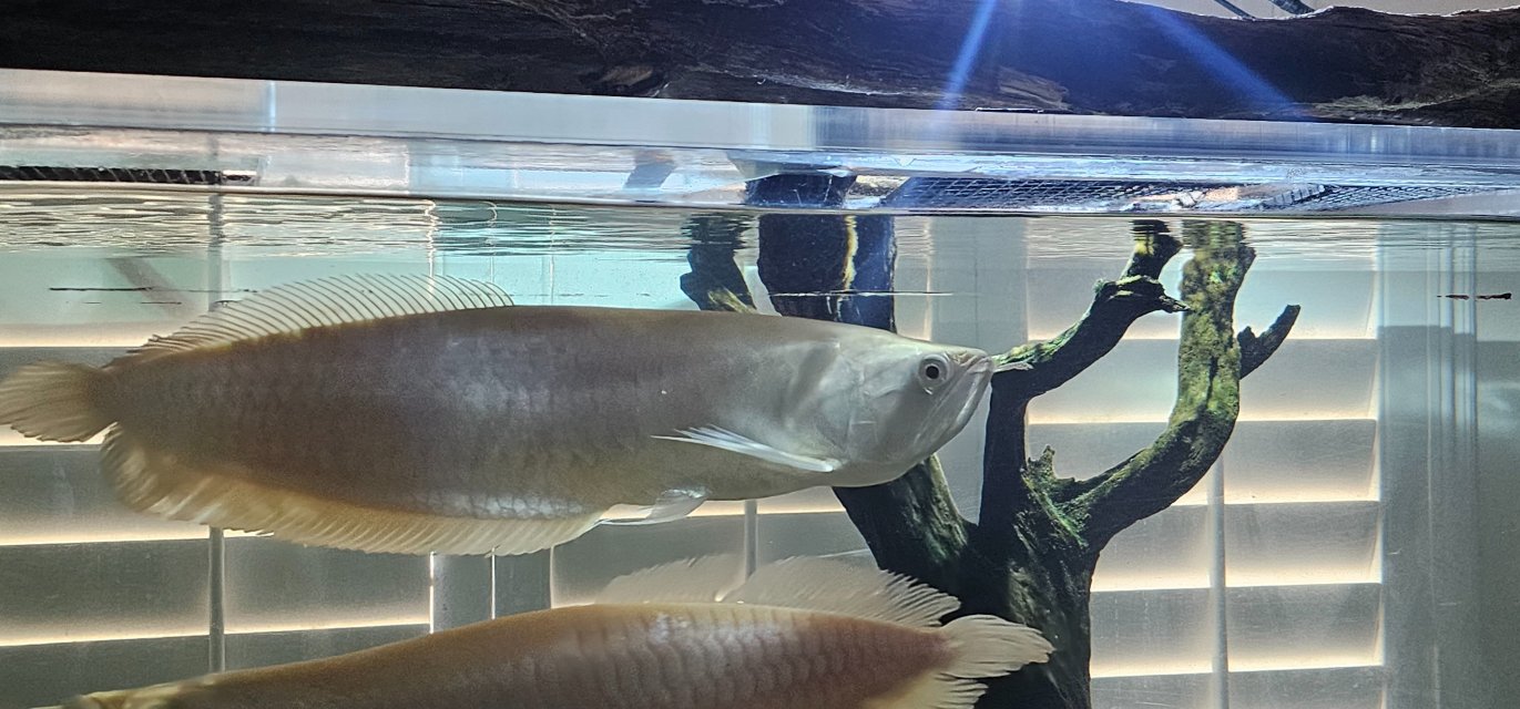 1000018326.jpg 1000018326.jpg