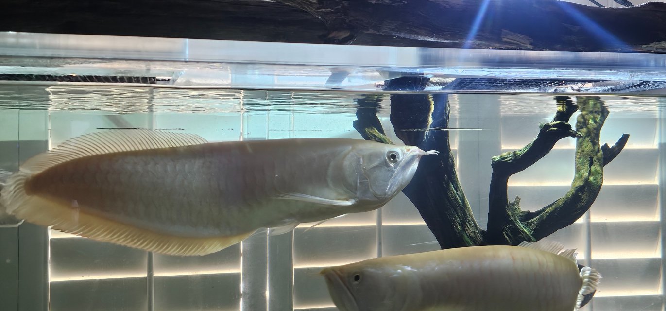 1000018324.jpg 1000018324.jpg