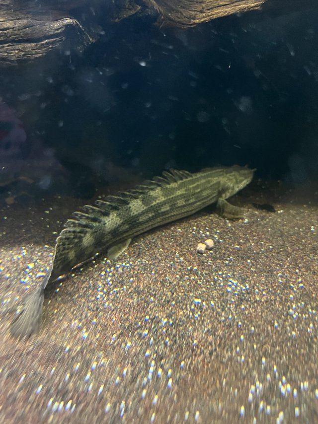 IMG_5386.jpeg IMG_5386.jpeg