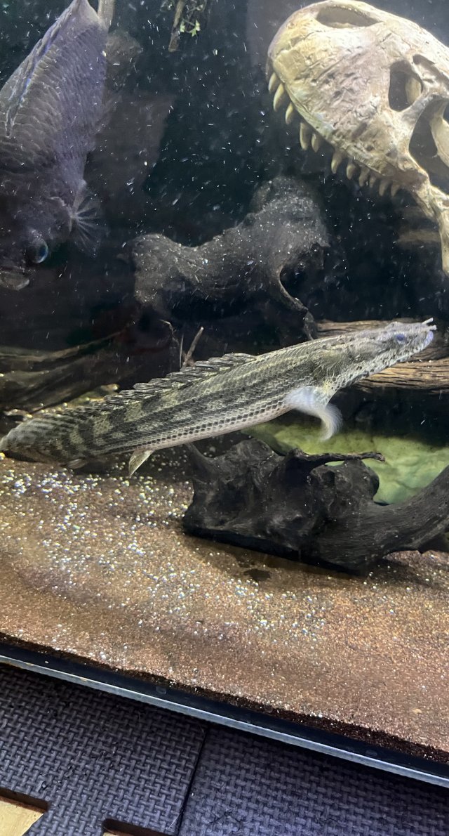 IMG_5383.jpeg IMG_5383.jpeg