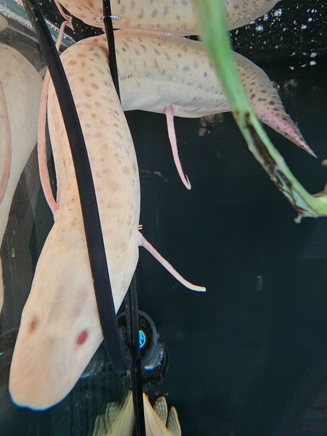 1000024648.jpg 1000024648.jpg