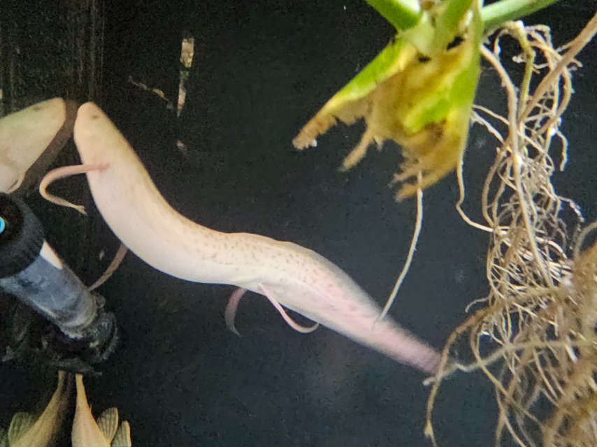 1000024649.jpg 1000024649.jpg