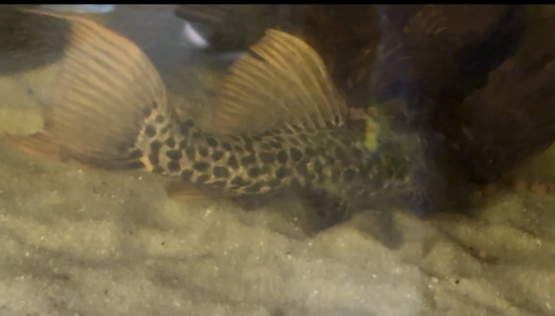 IMG_8889.jpeg IMG_8889.jpeg