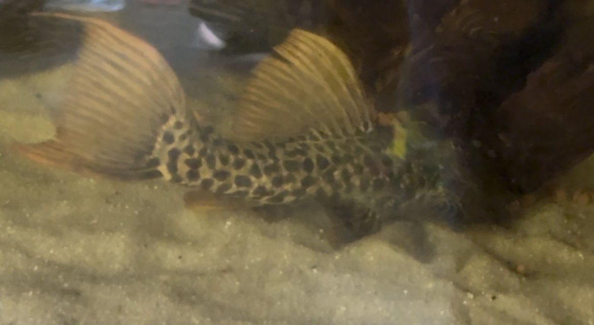 IMG_8885.jpeg IMG_8885.jpeg