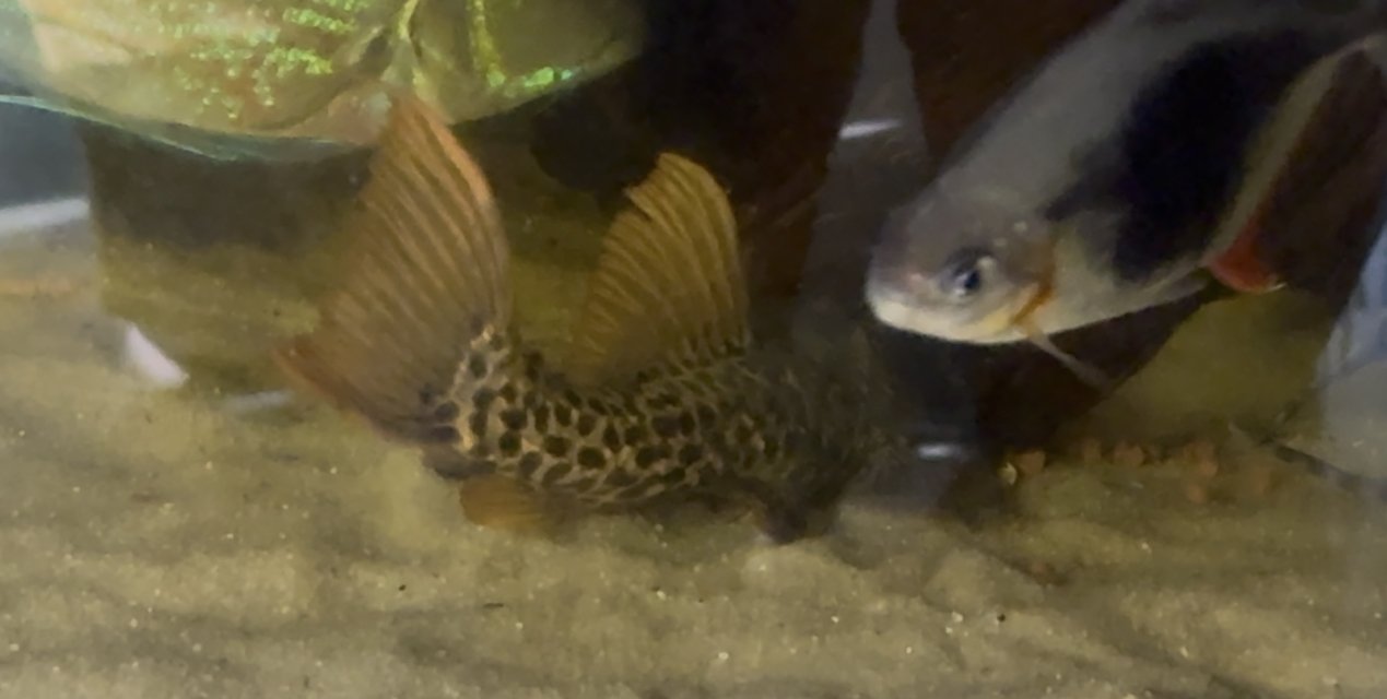 IMG_8886.jpeg IMG_8886.jpeg