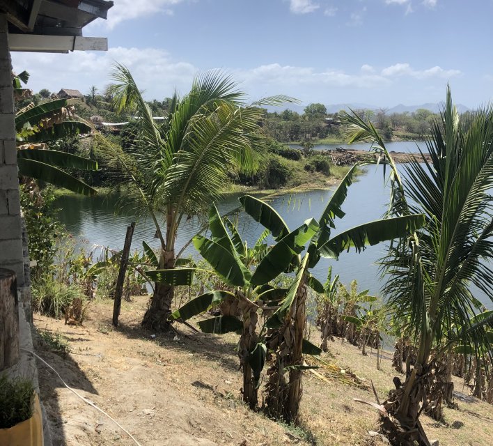 IMG_6041.jpeg IMG_6041.jpeg