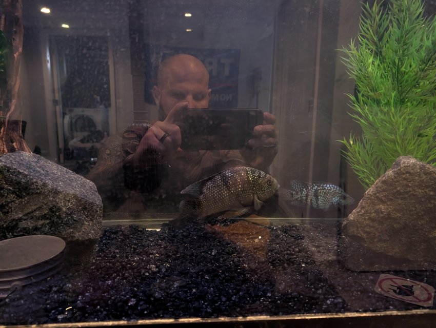 1000012356.jpg 1000012356.jpg