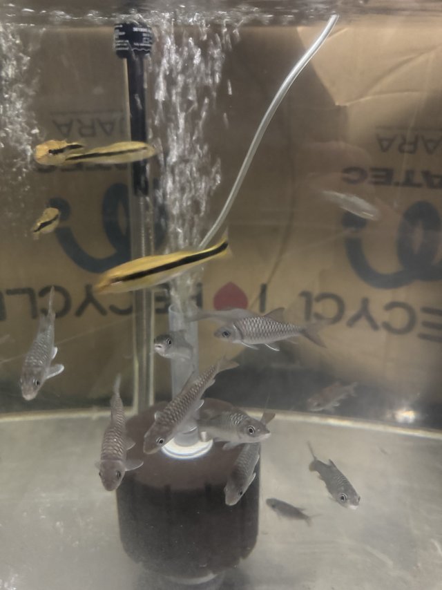 IMG_2843.jpeg IMG_2843.jpeg