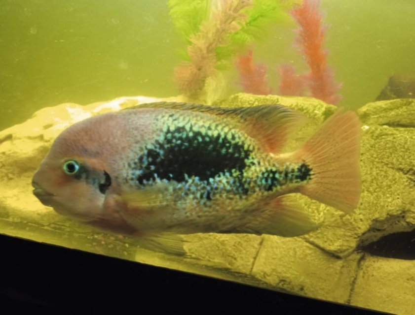 5381827453820538850.jpg 5381827453820538850.jpg