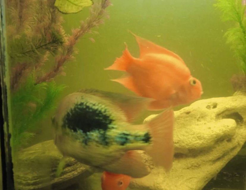 5381827453820538851.jpg 5381827453820538851.jpg