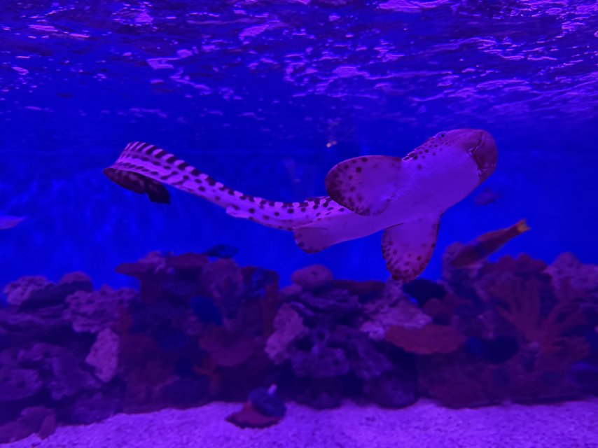 IMG_6816.jpeg IMG_6816.jpeg