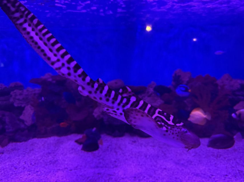 IMG_6812.jpeg IMG_6812.jpeg