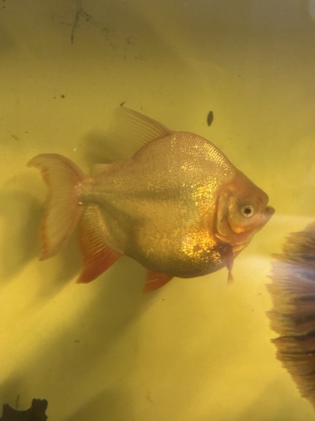 IMG_8935.jpeg IMG_8935.jpeg