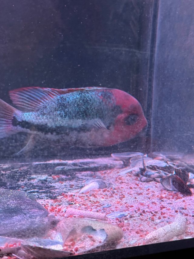 IMG_5100.jpeg IMG_5100.jpeg