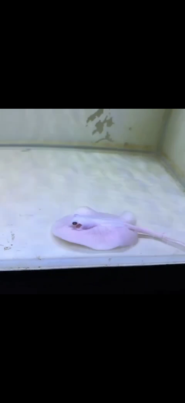 IMG_5706.png IMG_5706.png