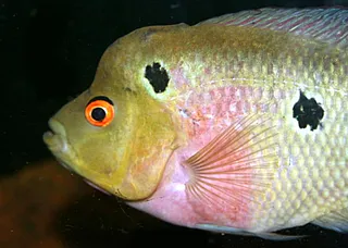 1767603582560.png 1767603582560.png