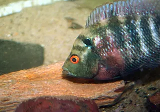 1767603879691.png 1767603879691.png