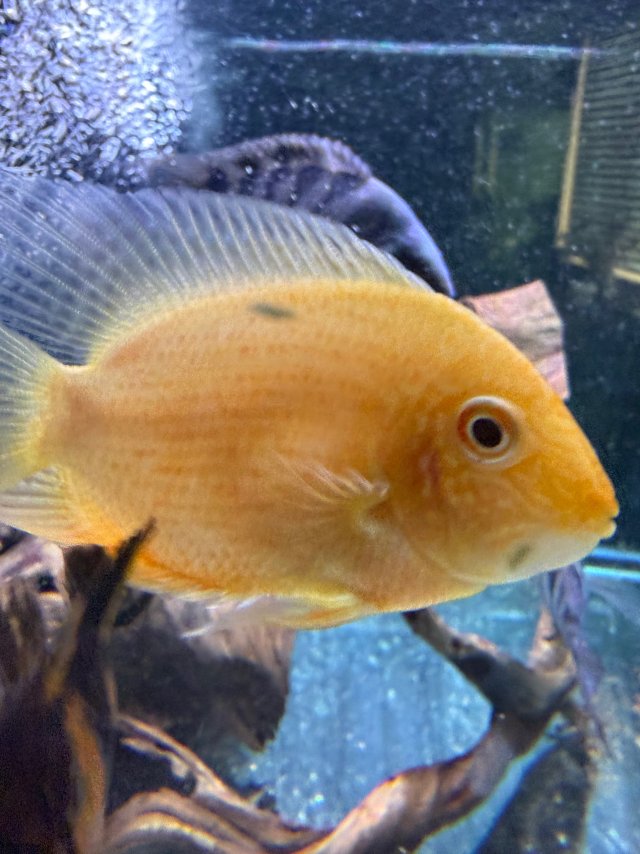 IMG_5694.jpeg IMG_5694.jpeg