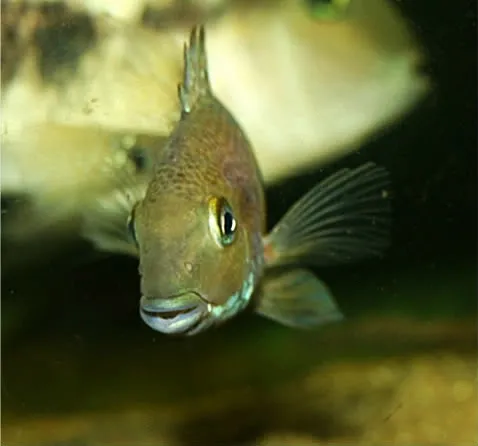 1767697686399.png 1767697686399.png