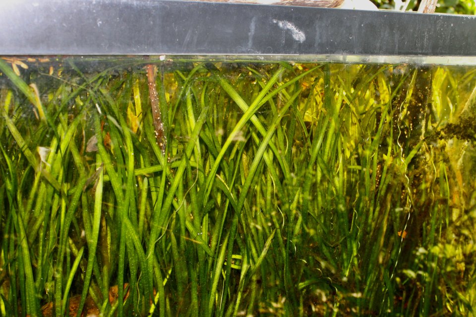 IMG_5248.jpeg IMG_5248.jpeg