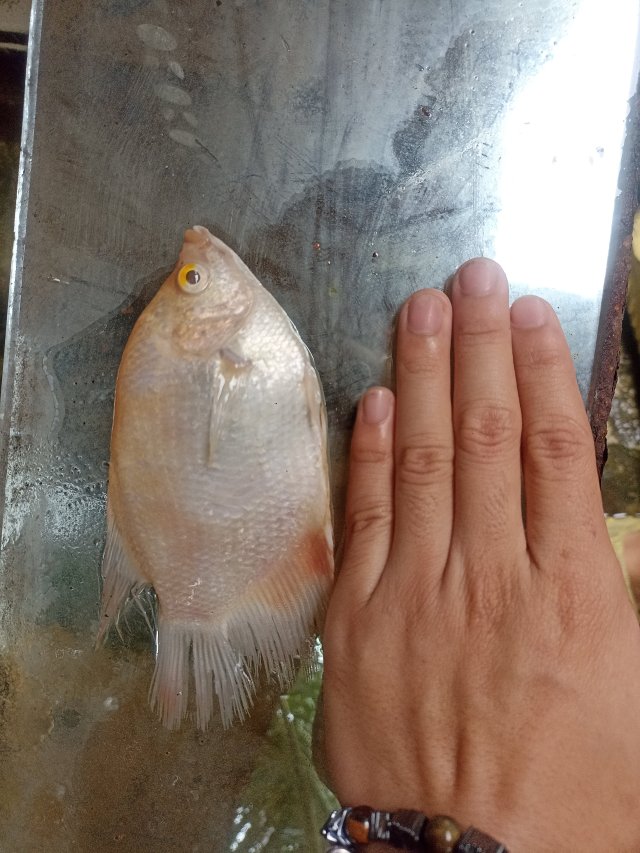 IMG_20260104_130151.jpg IMG_20260104_130151.jpg