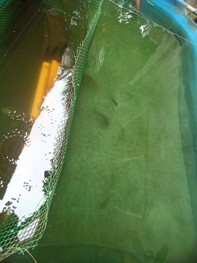 IMG_20260104_131135.jpg IMG_20260104_131135.jpg