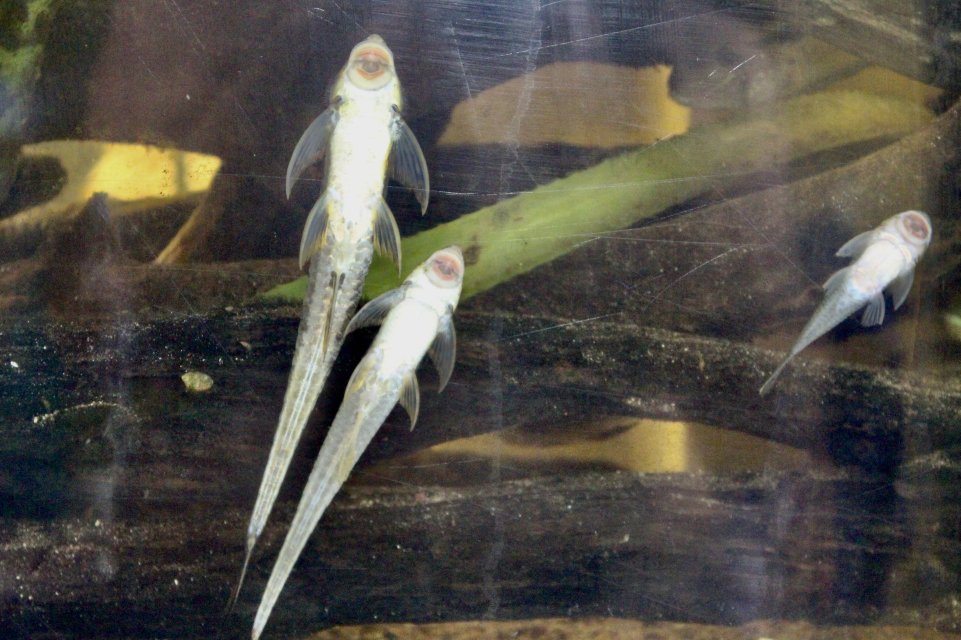 IMG_4350.jpeg IMG_4350.jpeg