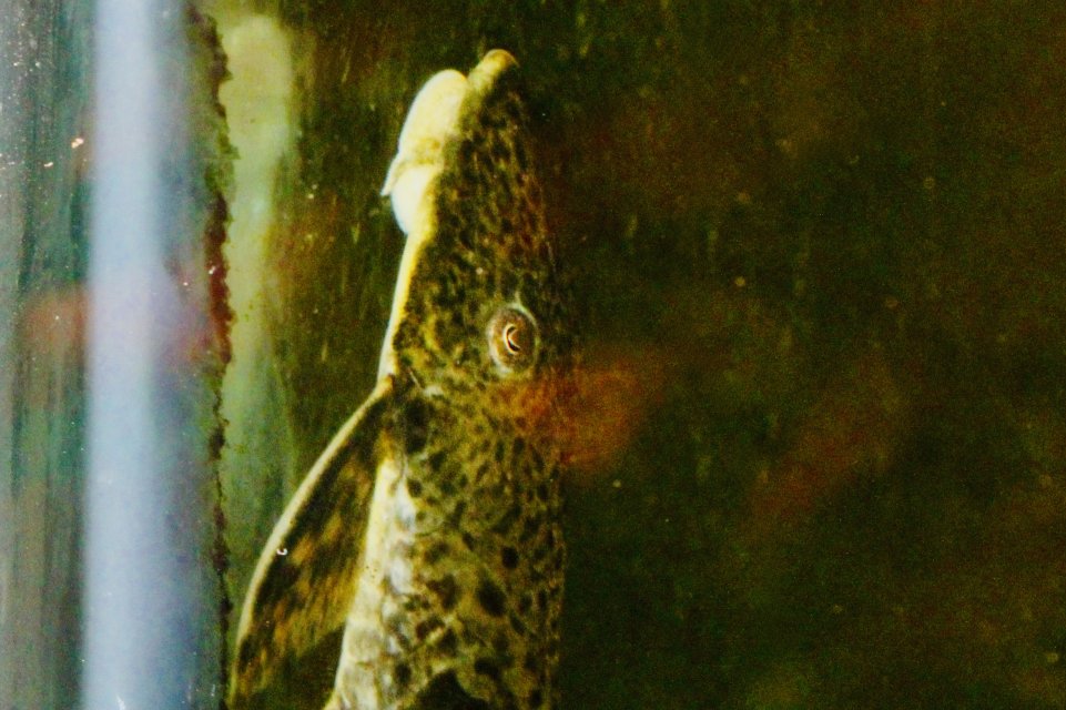 IMG_4448.jpeg IMG_4448.jpeg