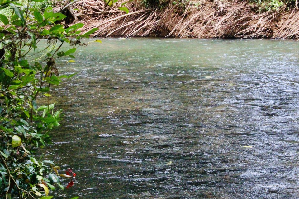 IMG_4802.jpeg IMG_4802.jpeg