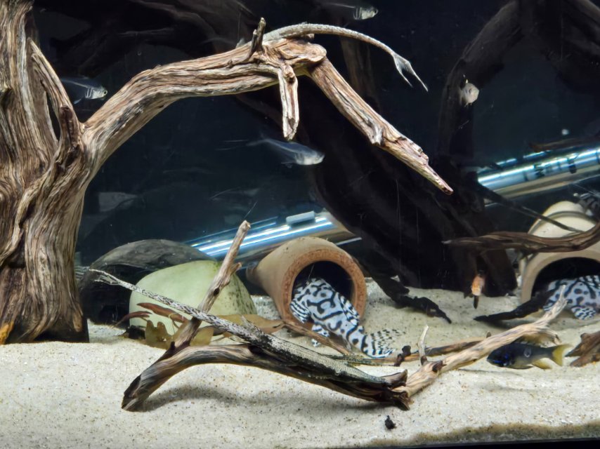 1000013396.jpg 1000013396.jpg