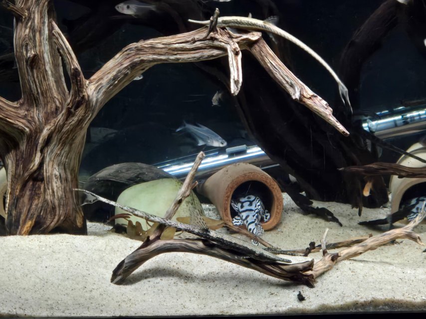 1000013394.jpg 1000013394.jpg