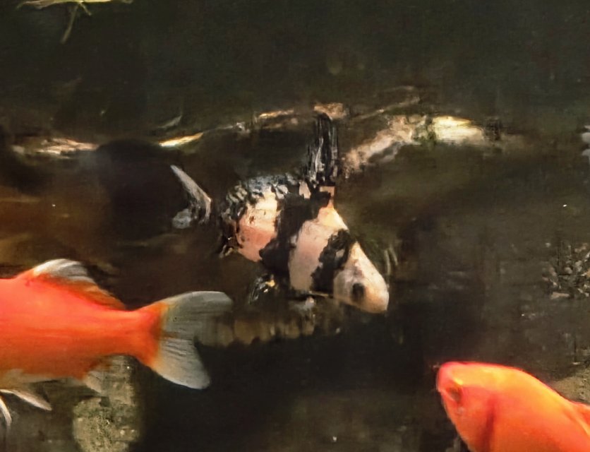 20260109_034105 (1).jpg