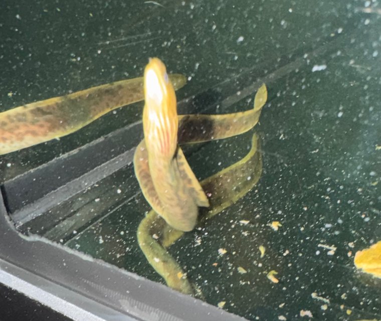 IMG_9073.jpeg IMG_9073.jpeg