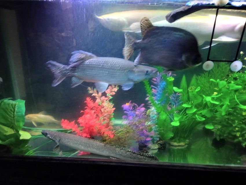 1000006238.jpg 1000006238.jpg